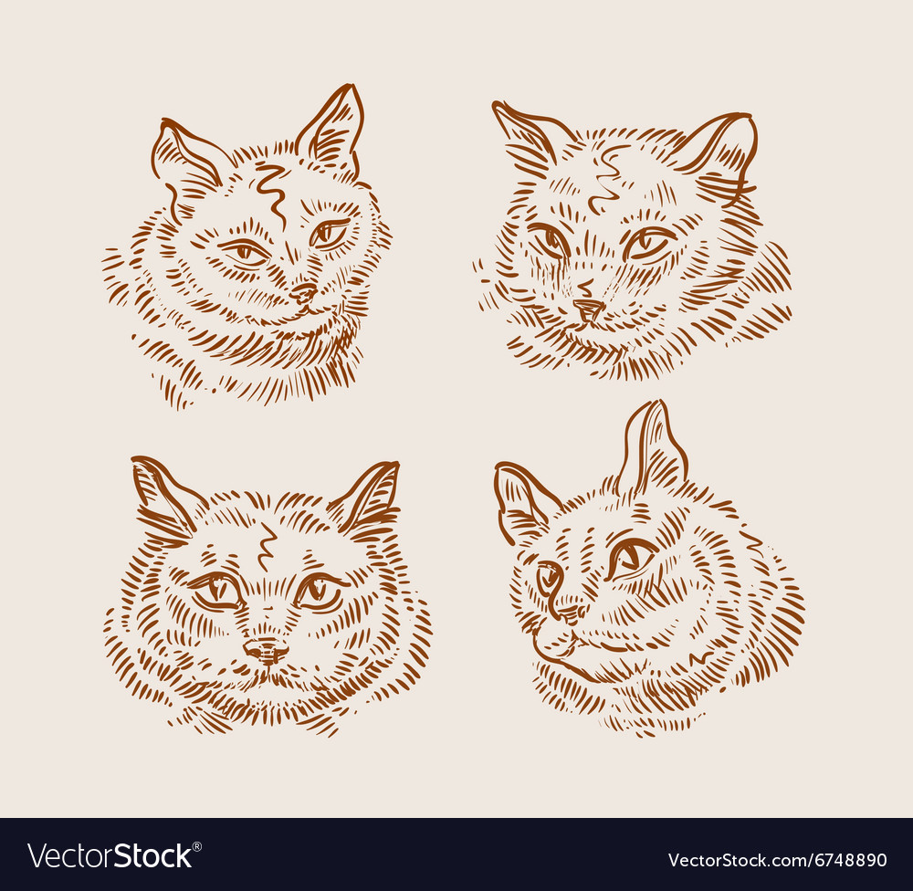 Collection of hand-drawn cats Royalty Free Vector Image