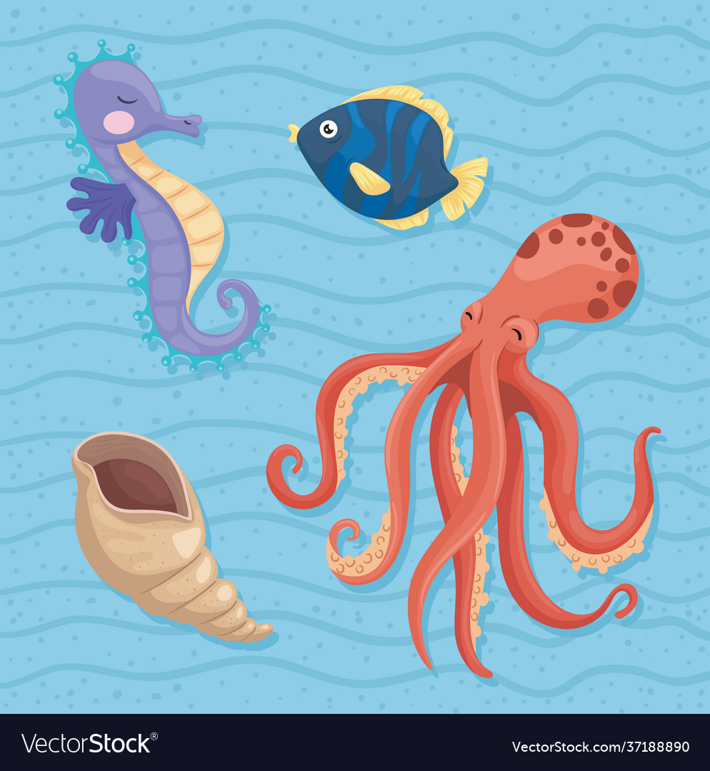 Marine life icons