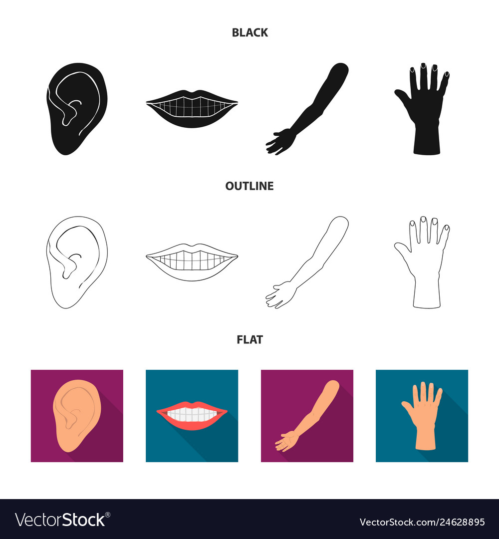 Design of body and part icon set vector image Design of body and part icon set