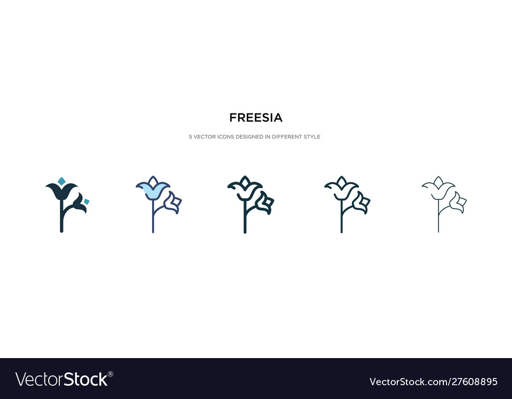 Freesia icon in different style two colored