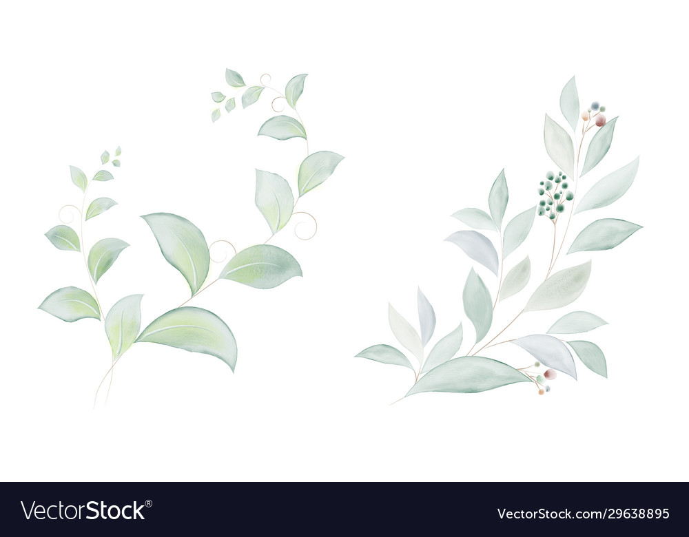 Watercolor set green leaves and branches vector image Watercolor set green leaves and branches