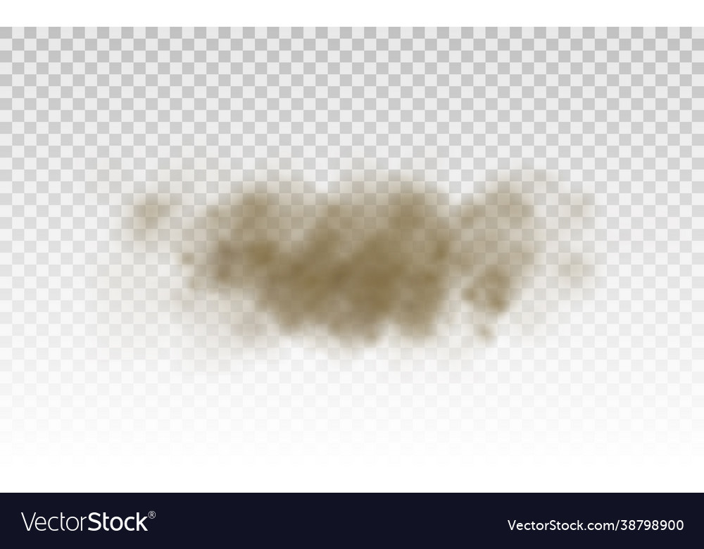 Fliegender Sand brauner Staubwolke Windsandstorm vector image Fliegender Sand brauner Staubwolke Windsandstorm