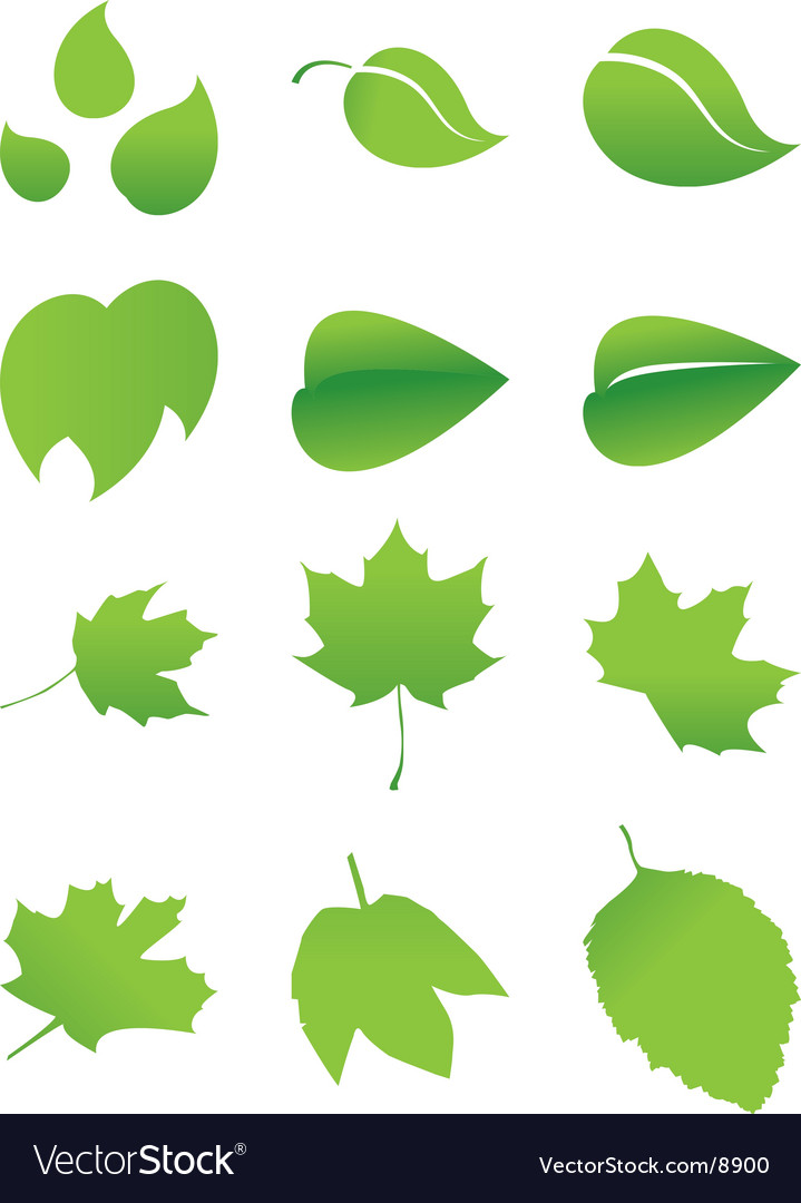 Green Sheet Royalty Free Vector Image Vectorstock Green Sheet Royalty Free Vector Image Vectorstock