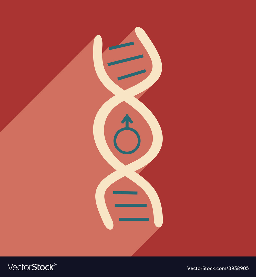 Flat with shadow icon and mobile application genes