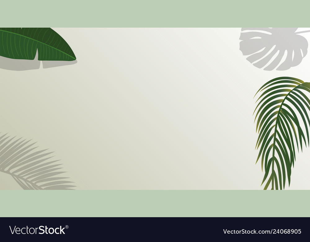 Realistic green palm leaf branches on white