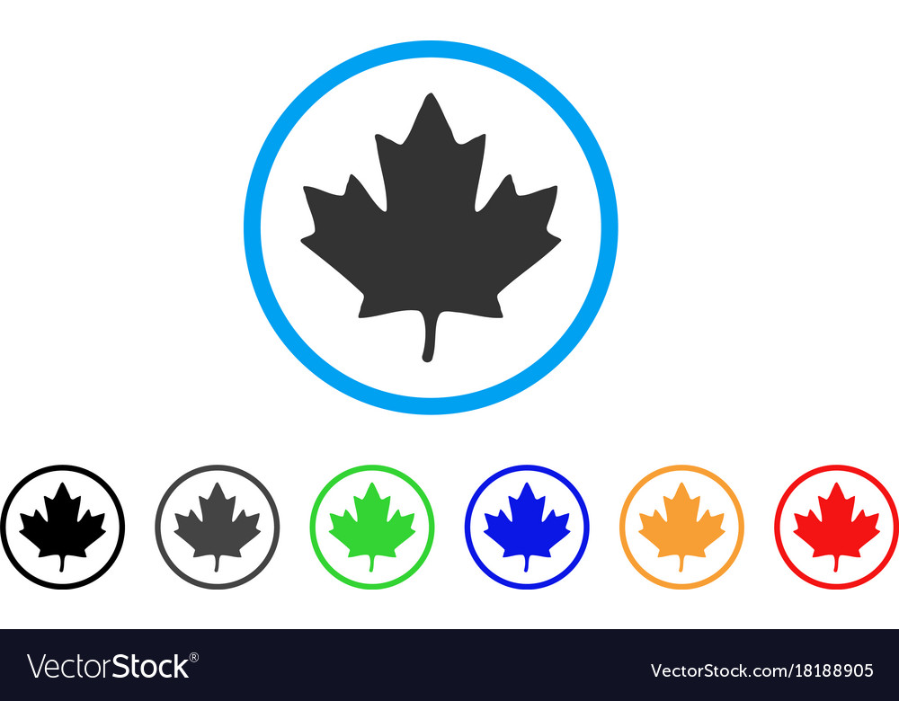 Rounded Maple Leaf Icon