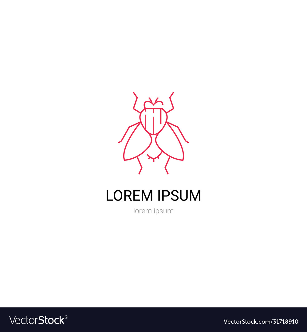 Fly simple in linear style