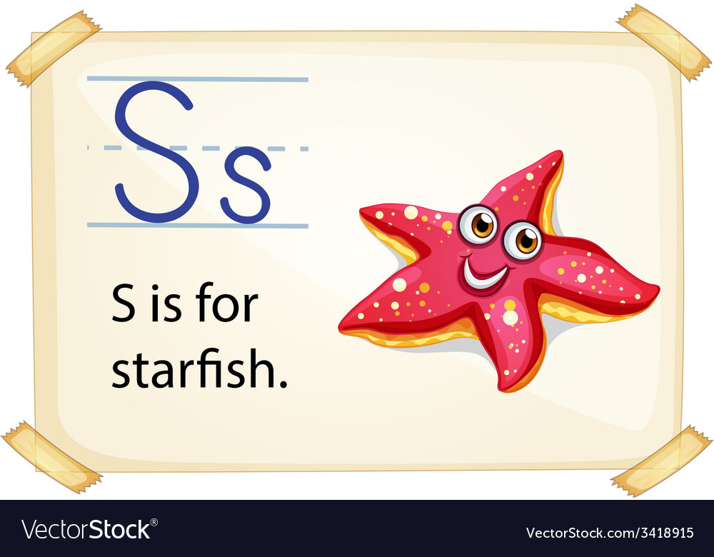 A letter s for starfish Royalty Free Vector Image