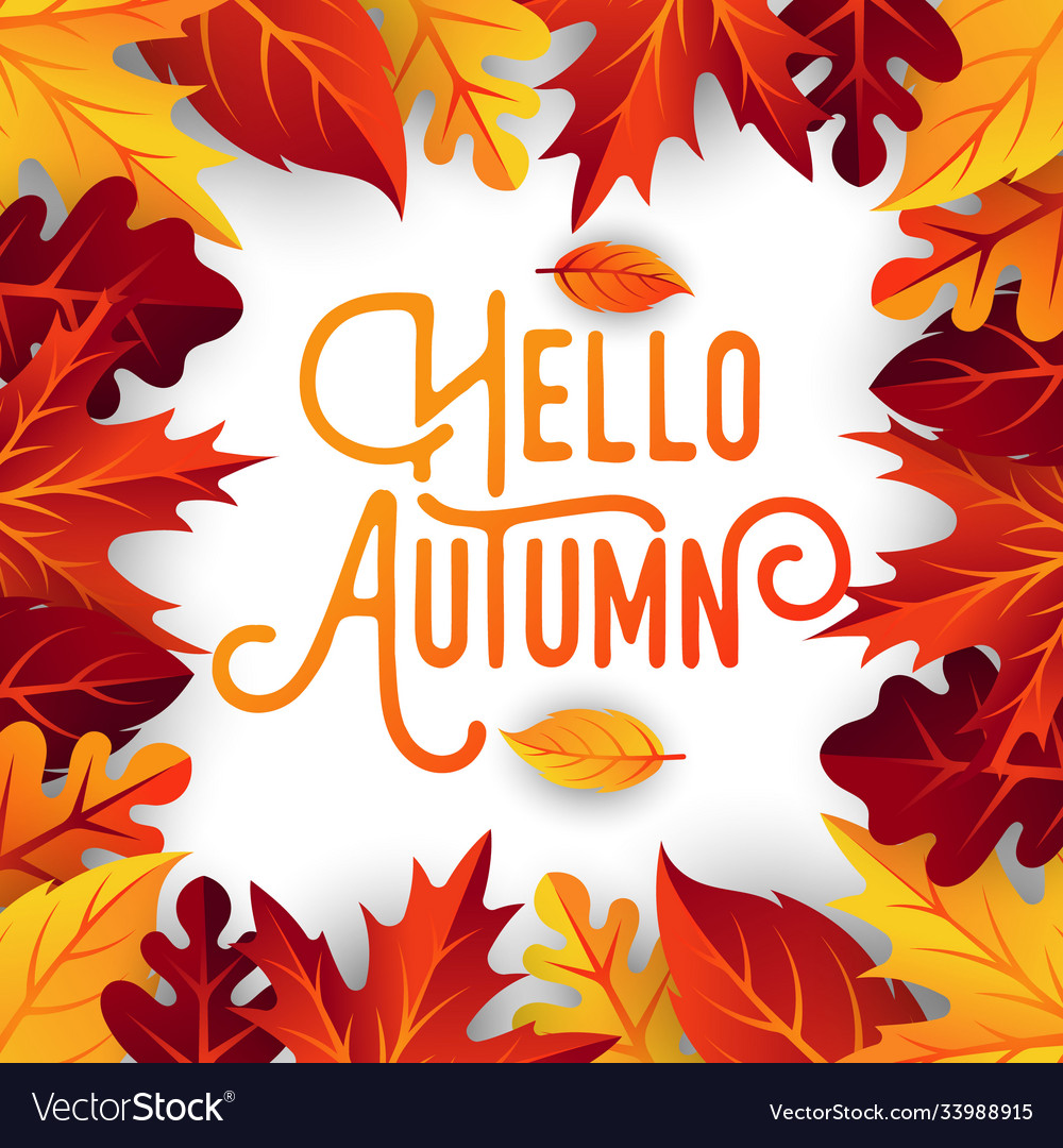 Autumn background with decorative leaves Vector Image