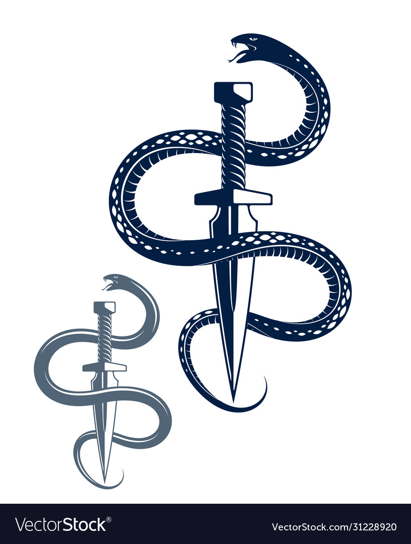 Dagger kills a snake defeated serpent wraps