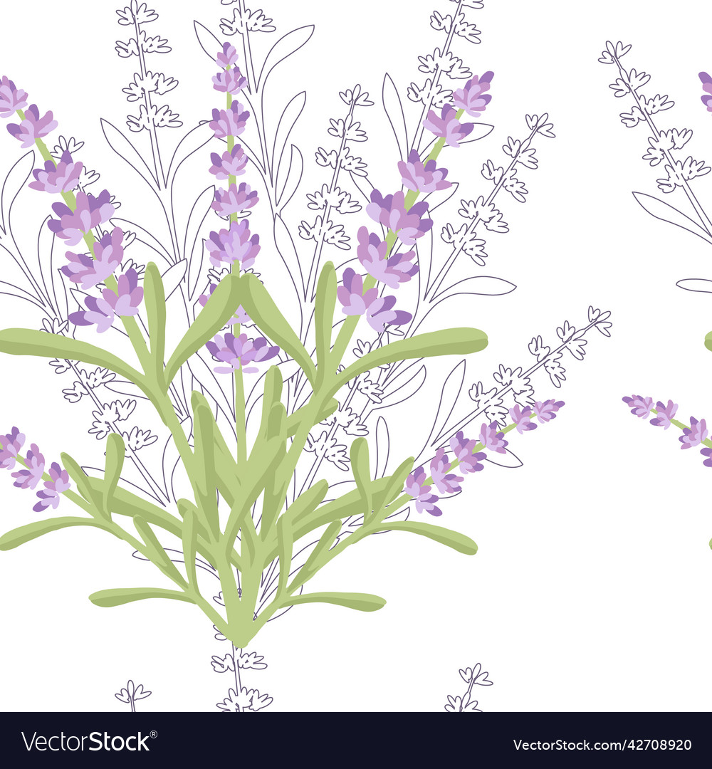 Seamless Pattern With Lavender Flowers Summer Vector Image