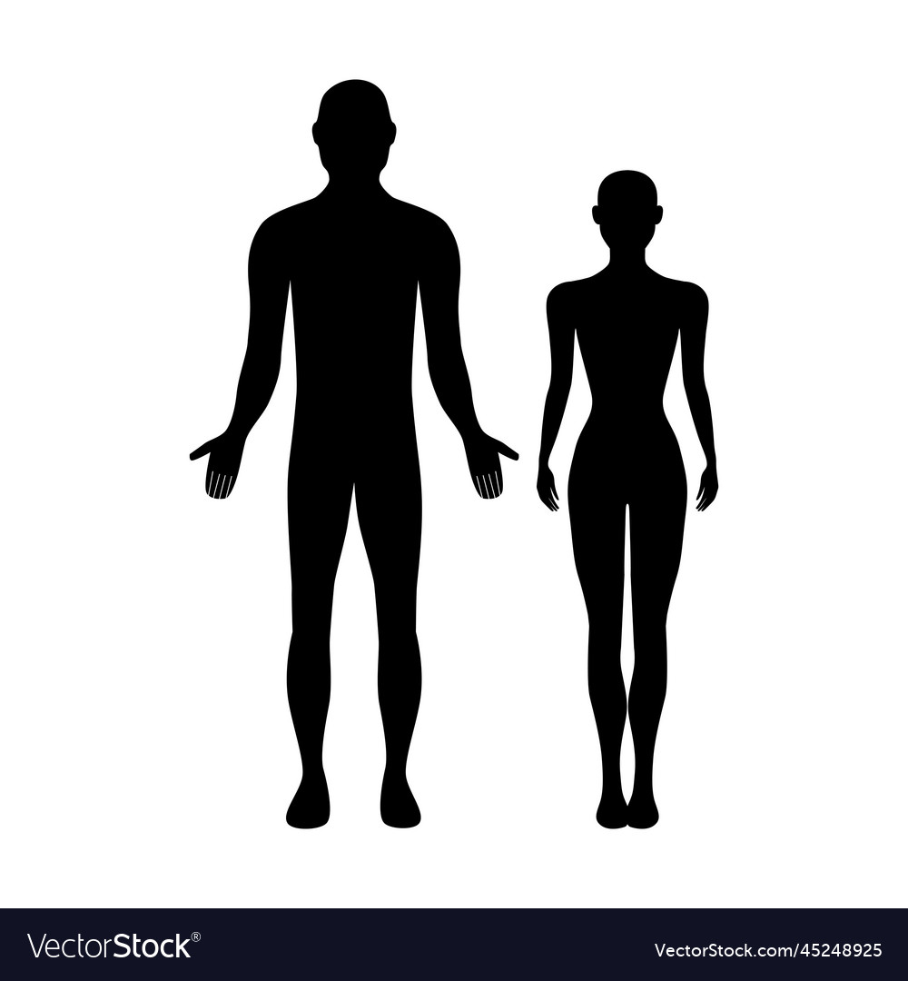 Men and women people couple on a white background Vector Image