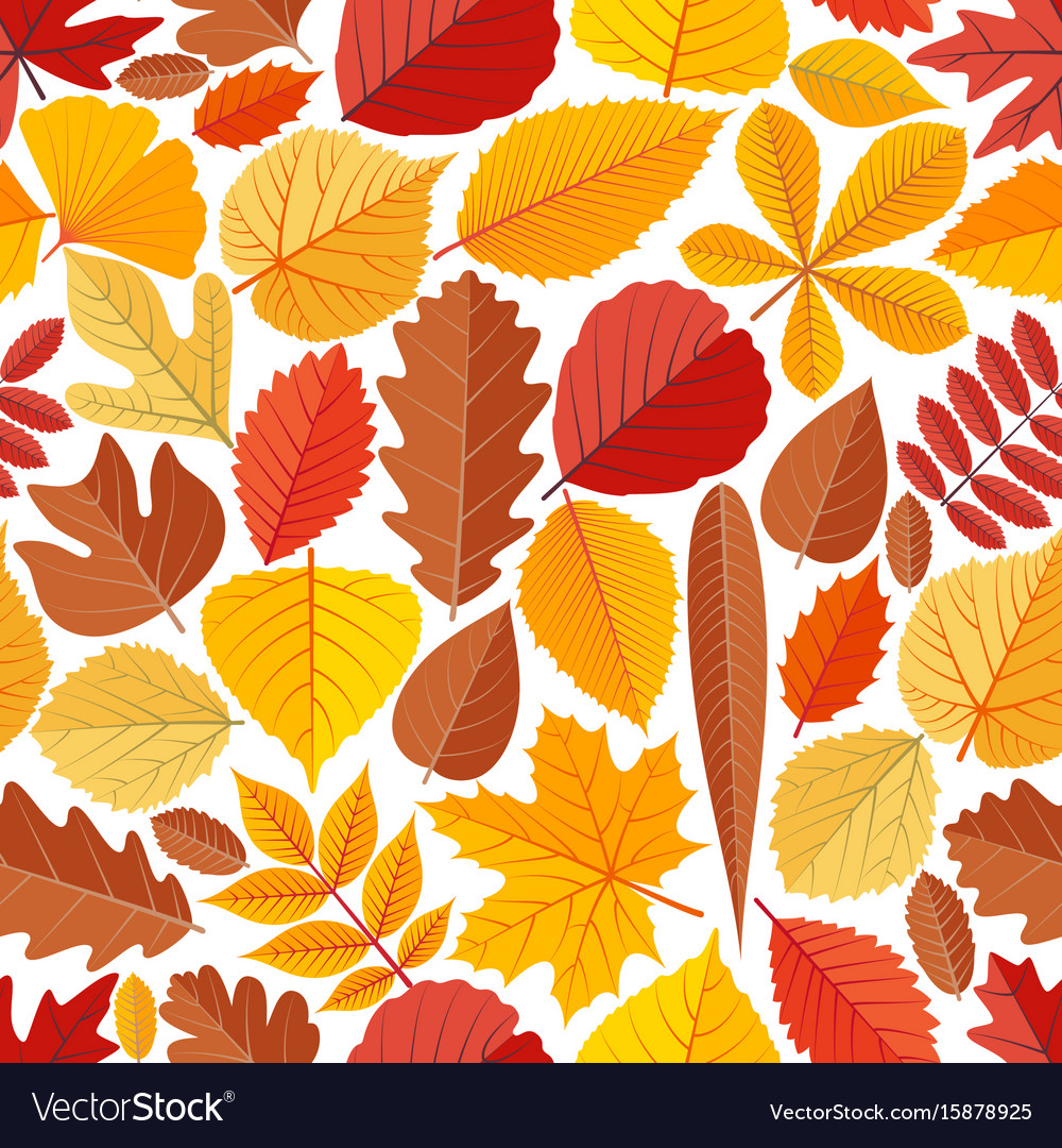 Seamless pattern with autumn tree leaves