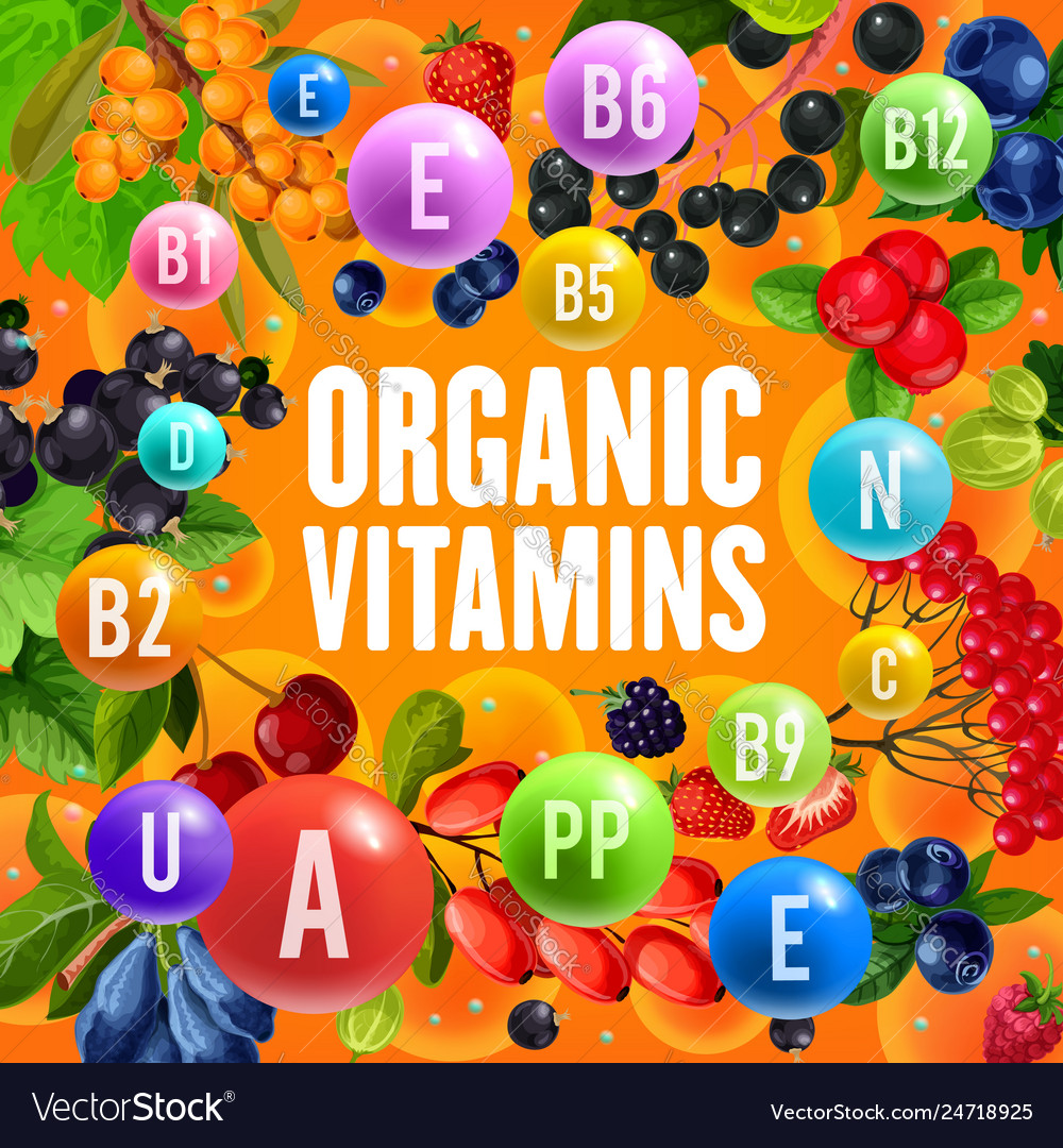 Vitamins content of wild and garden berries Vector Image