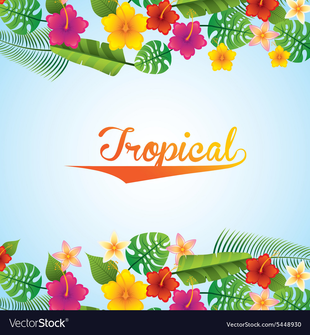 Tropical nature Royalty Free Vector Image - VectorStock