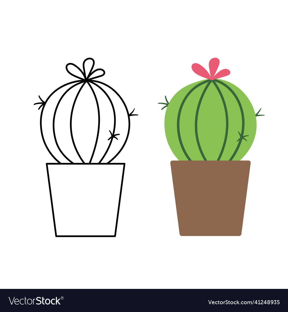 Cactus line and flat color home