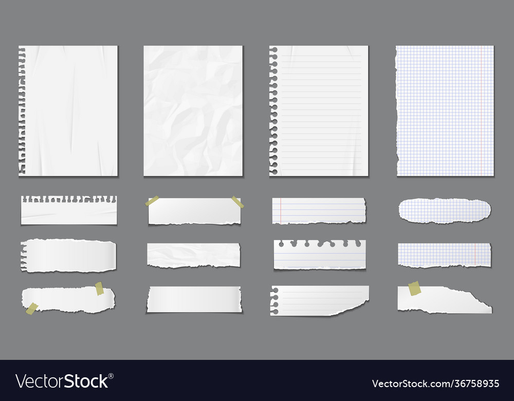 Set different notebook pages and pieces torn vector image Set different notebook pages and pieces torn