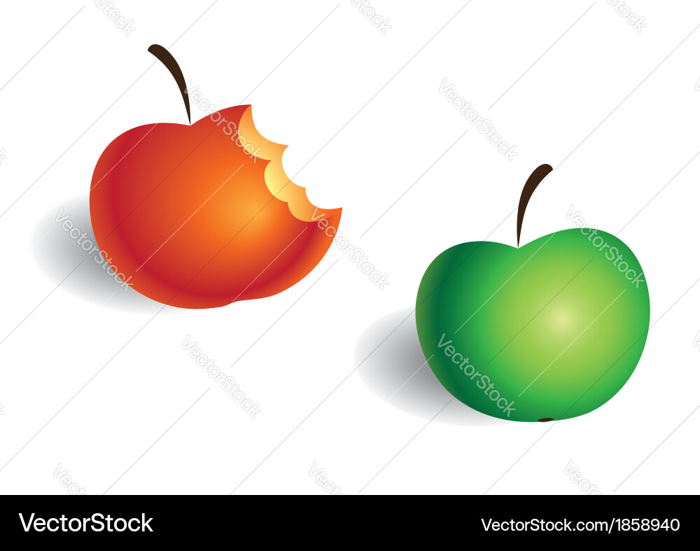 Apples Royalty Free Vector Image - VectorStock