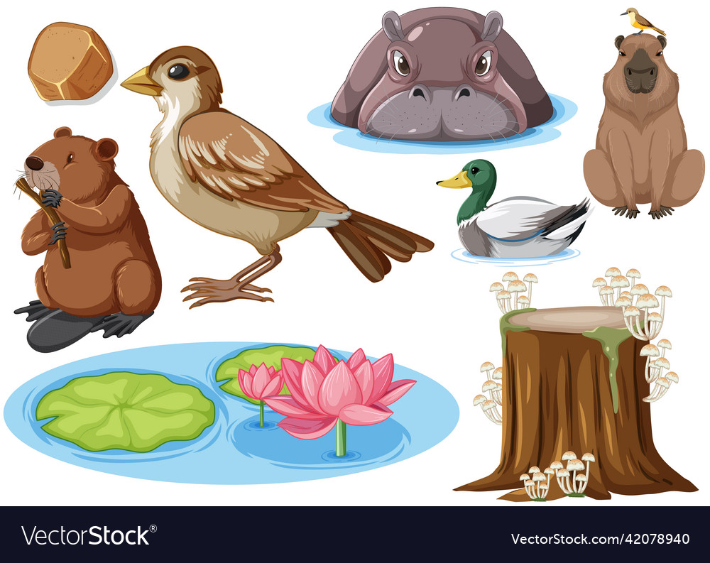 Different kinds of wild animals collection Vector Image Different kinds of wild animals collection Vector Image