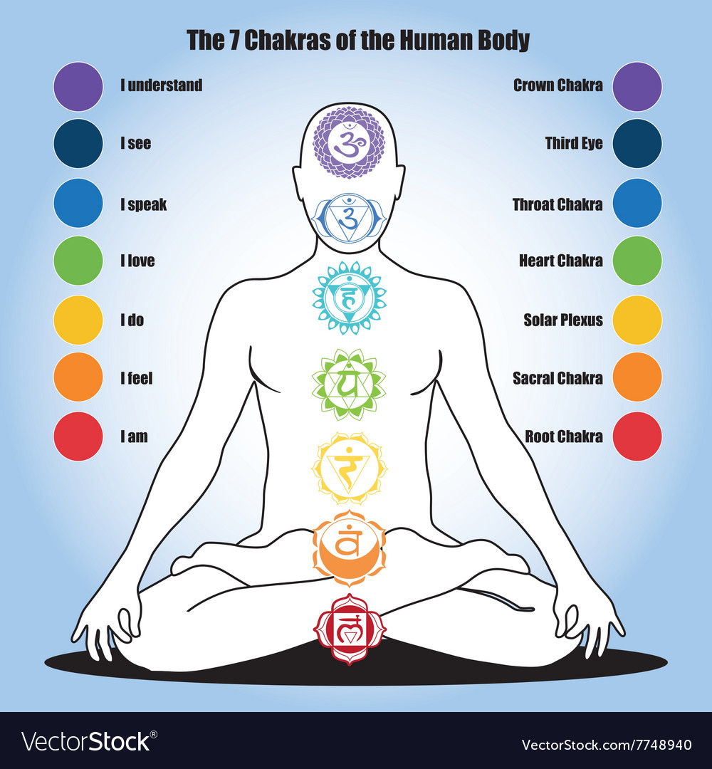 Seven Chakras Of The Human Body Royalty Free Vector Image   Seven Chakras Of The Human Body Vector 7748940 