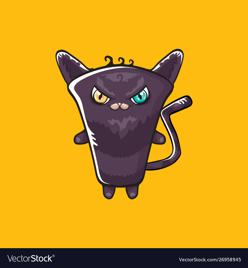 Cute black halloween isolated on orange vector image Cute black halloween isolated on orange