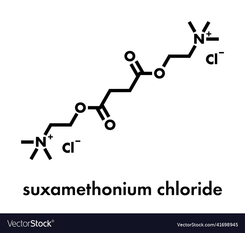 Suxamethonium chloride succinylcholine muscle Vector Image