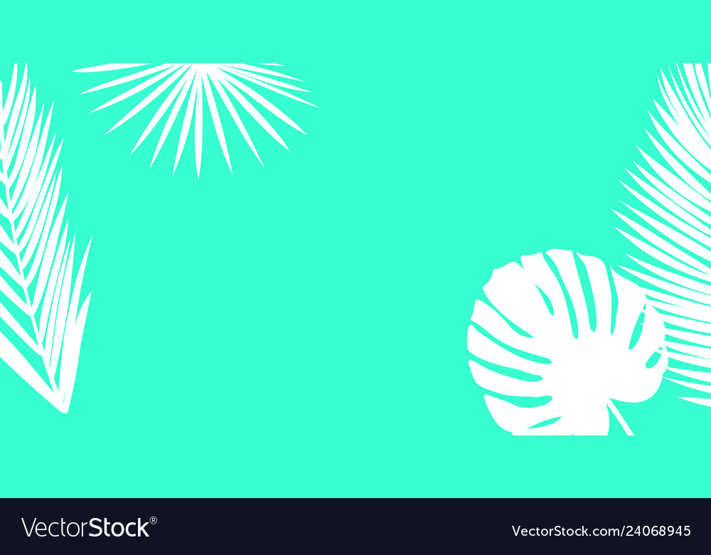 White palm leaves silhouette on a bright blue