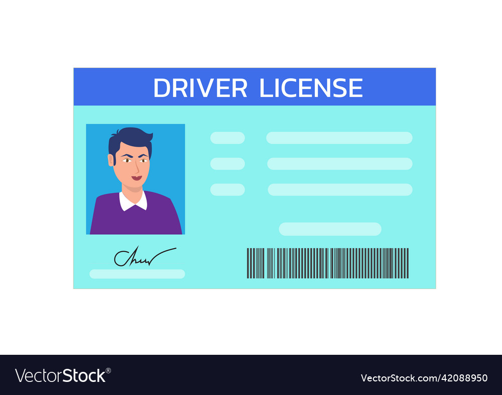 Führerschein mit Foto-ID-Karte Personendaten vector image Führerschein mit Foto-ID-Karte Personendaten