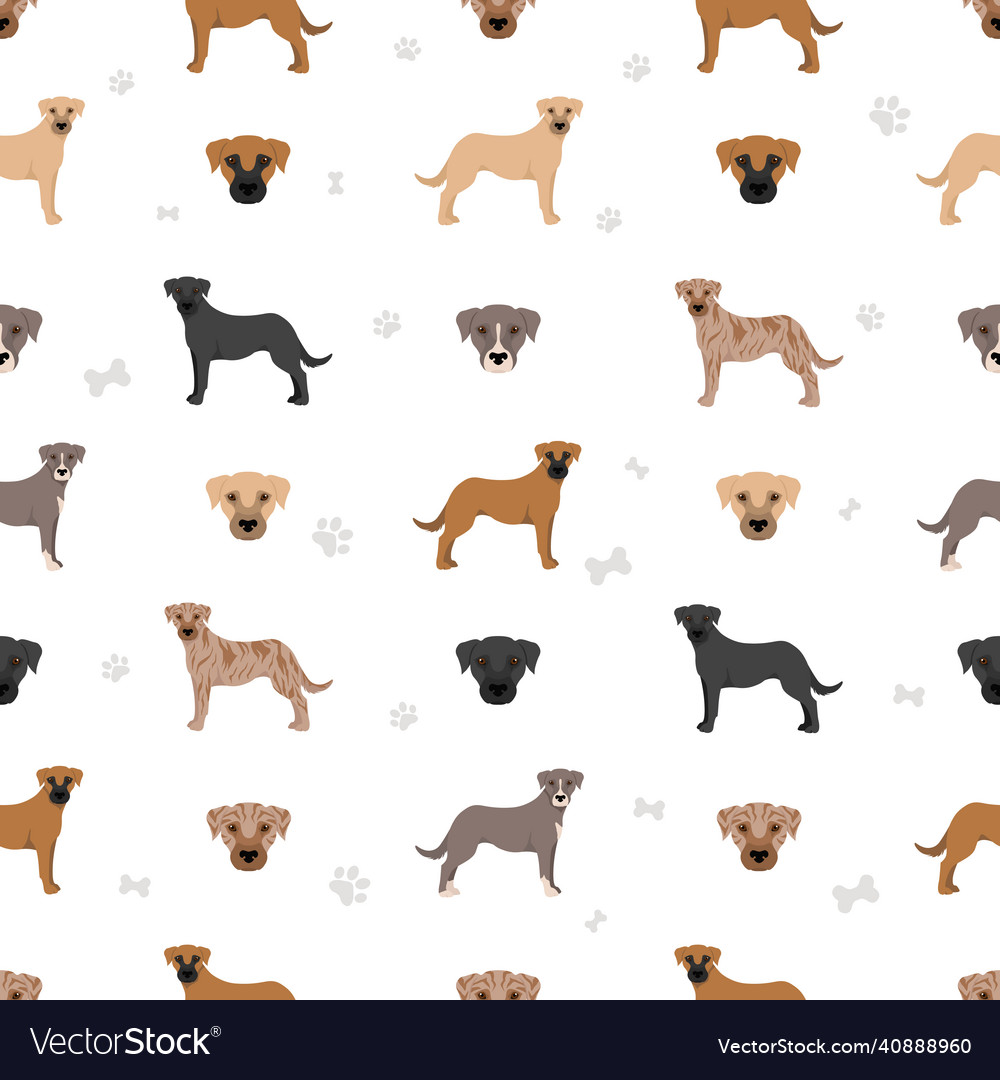 Mountain cur seamless pattern different poses Vector Image Mountain cur seamless pattern different poses