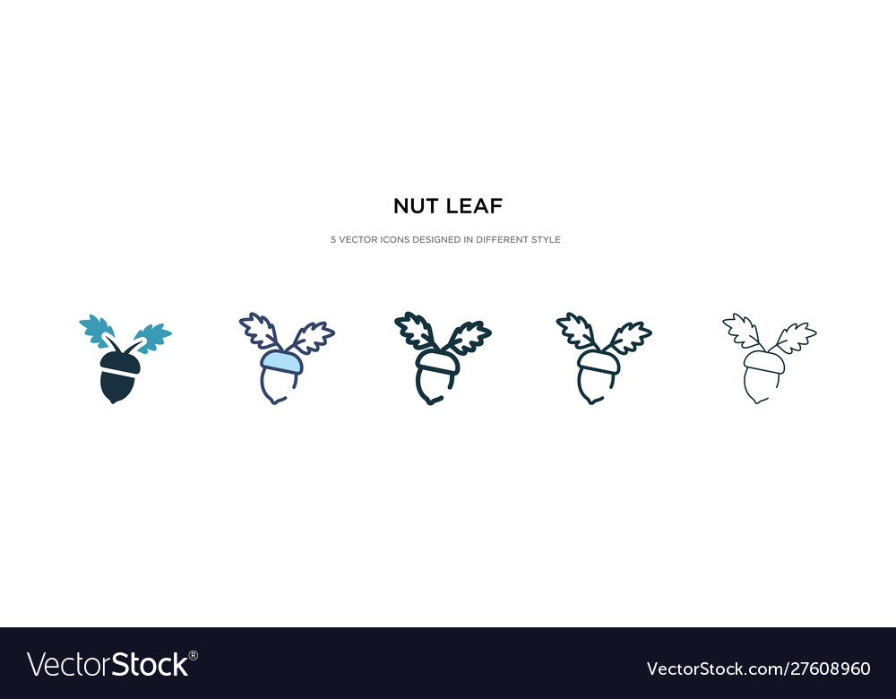 Nut leaf icon in different style two colored