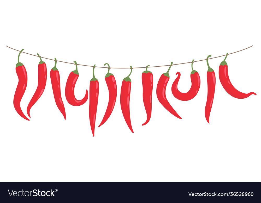 Red peppers hang on a rope vector image Red peppers hang on a rope