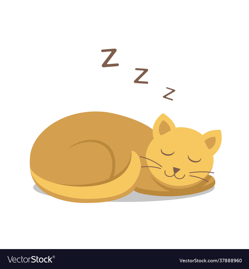 Sleeping ginger cat with shadow Royalty Free Vector Image