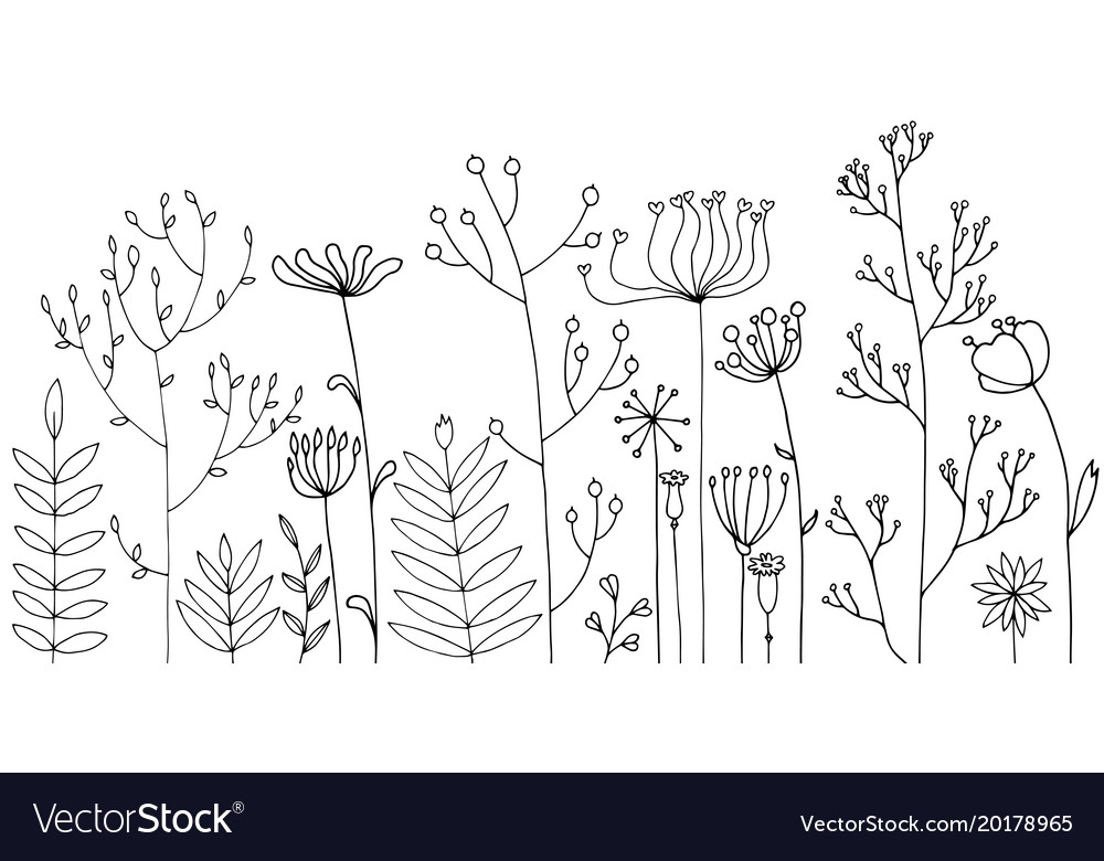 Background with drawing herbs and flowers Vector Image