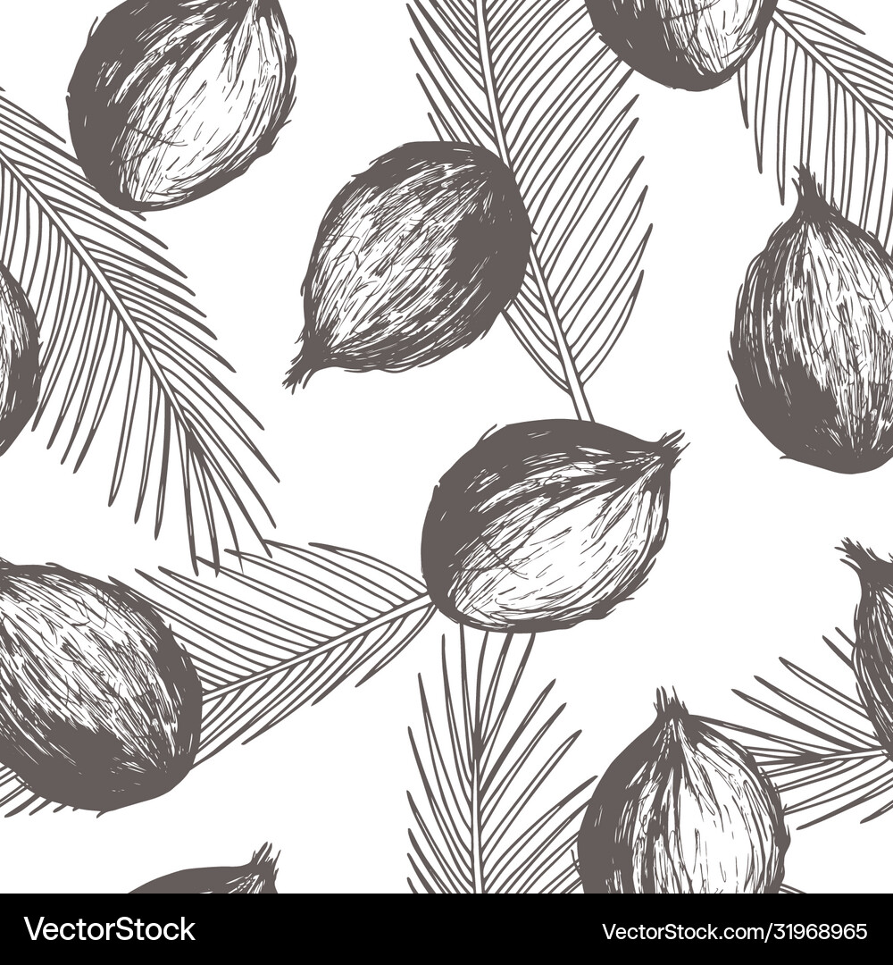 Hand drawn coconuts seamless pattern Royalty Free Vector