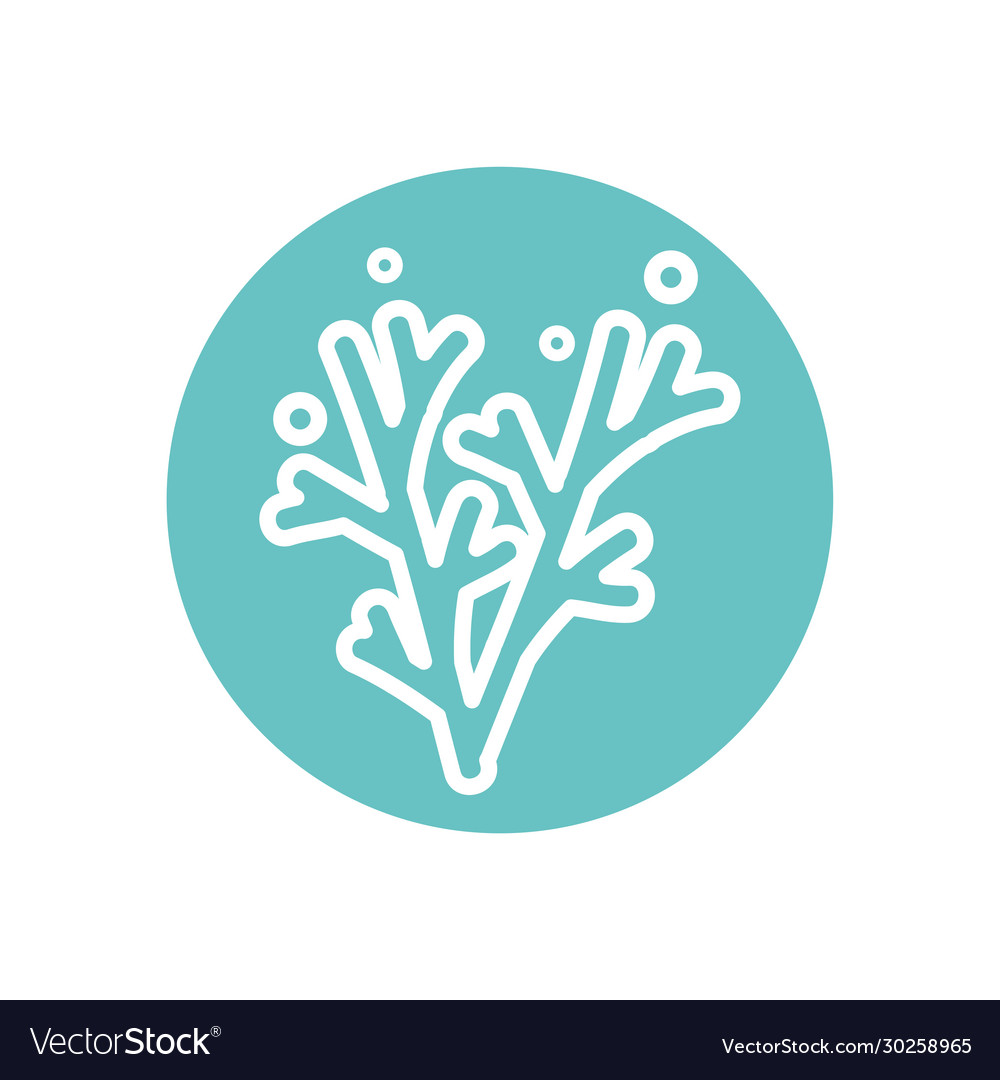Isolated coral line block style icon design
