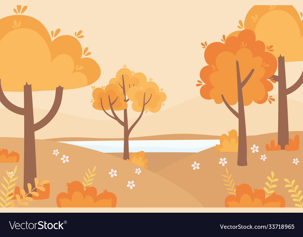 Landscape in autumn nature scene forest trees