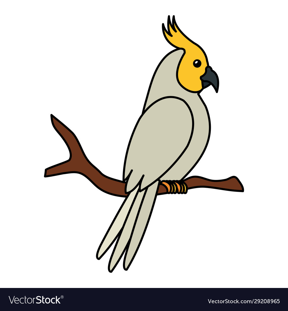 Parrot bird in tree branch isolated icon