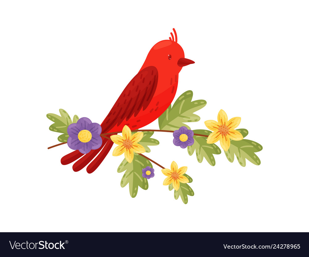 Red bird on white background flat