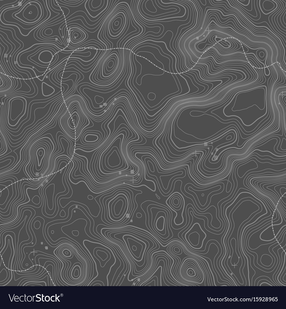 Seamless pattern topographic map background Vector Image