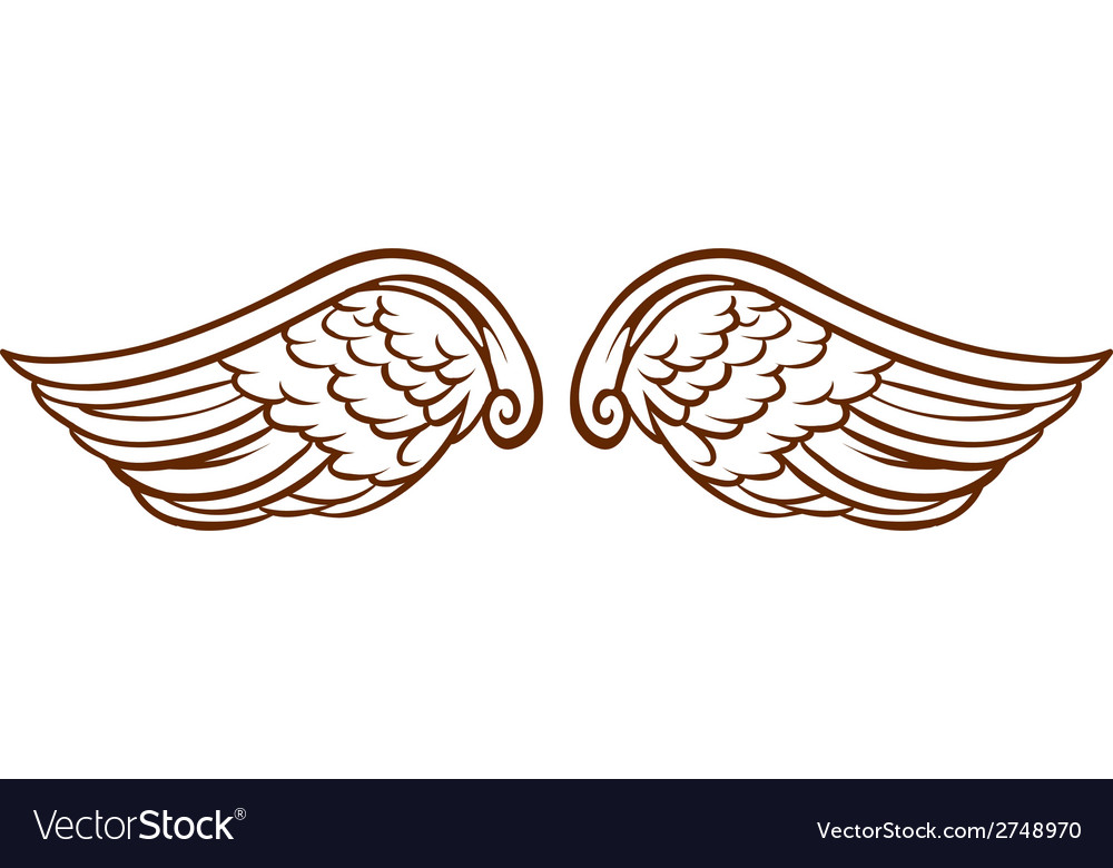 Angel Wings Drawing - How To Draw Angel Wings Step By Step