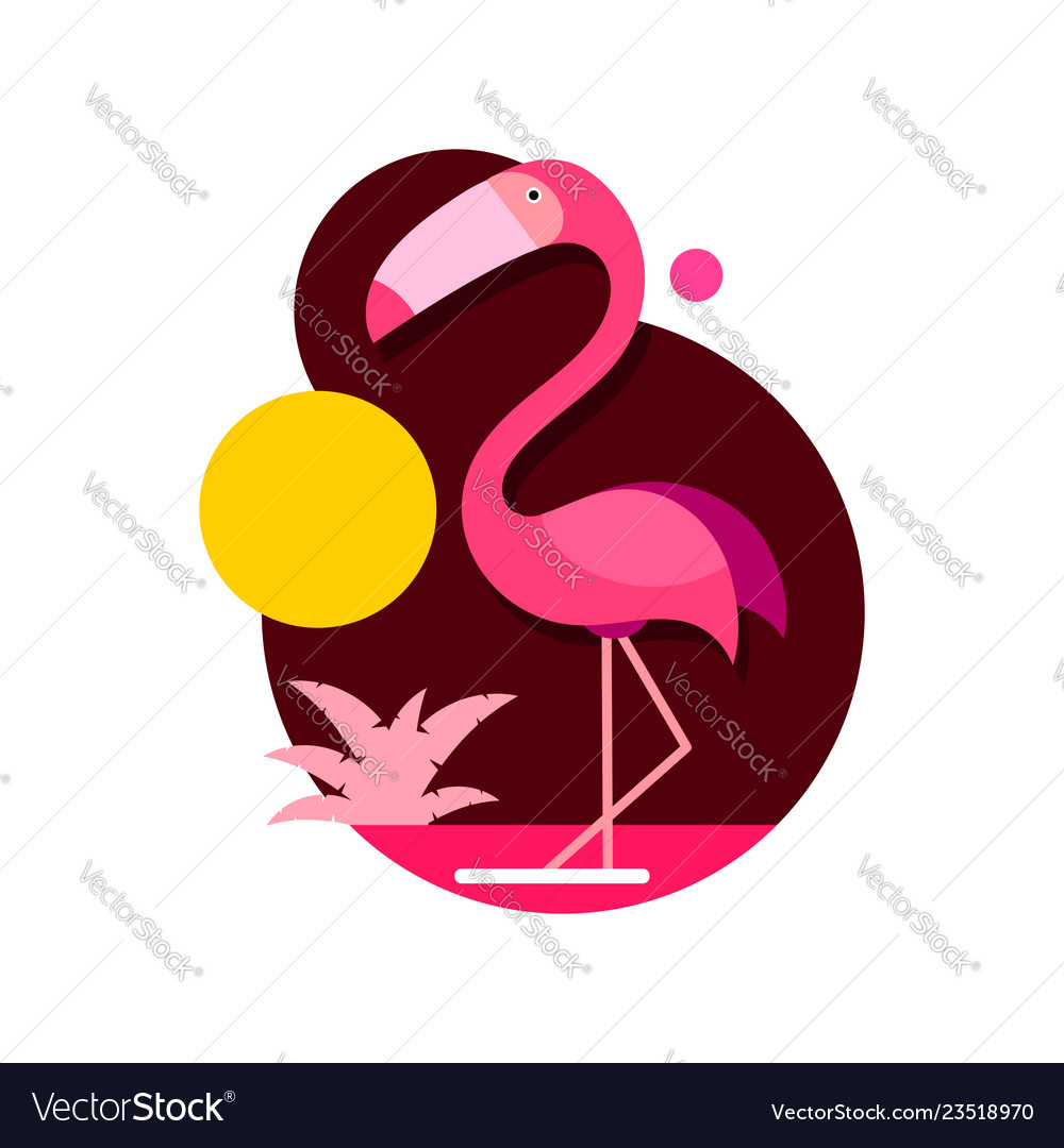 Pink flamingo isolated on white Royalty Free Vector Image