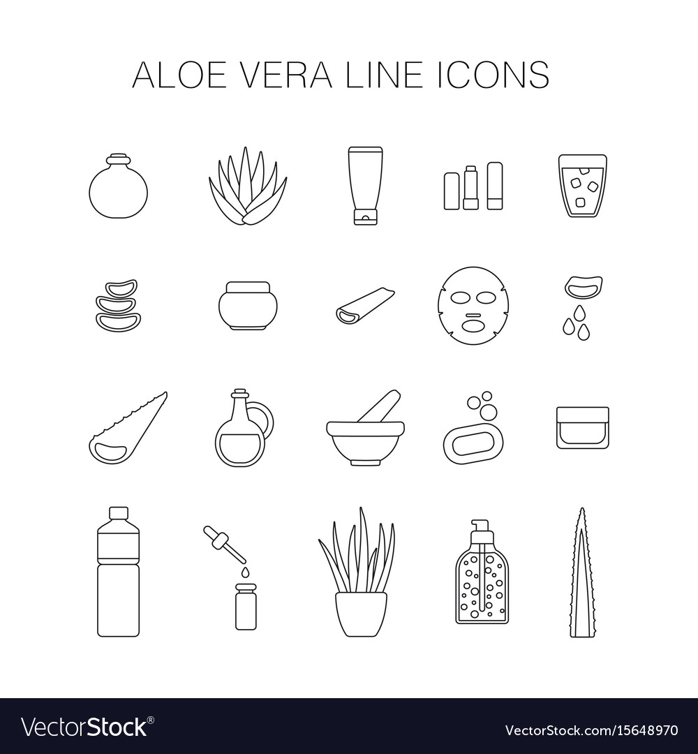 Thin line icon set aloe vera plant and products