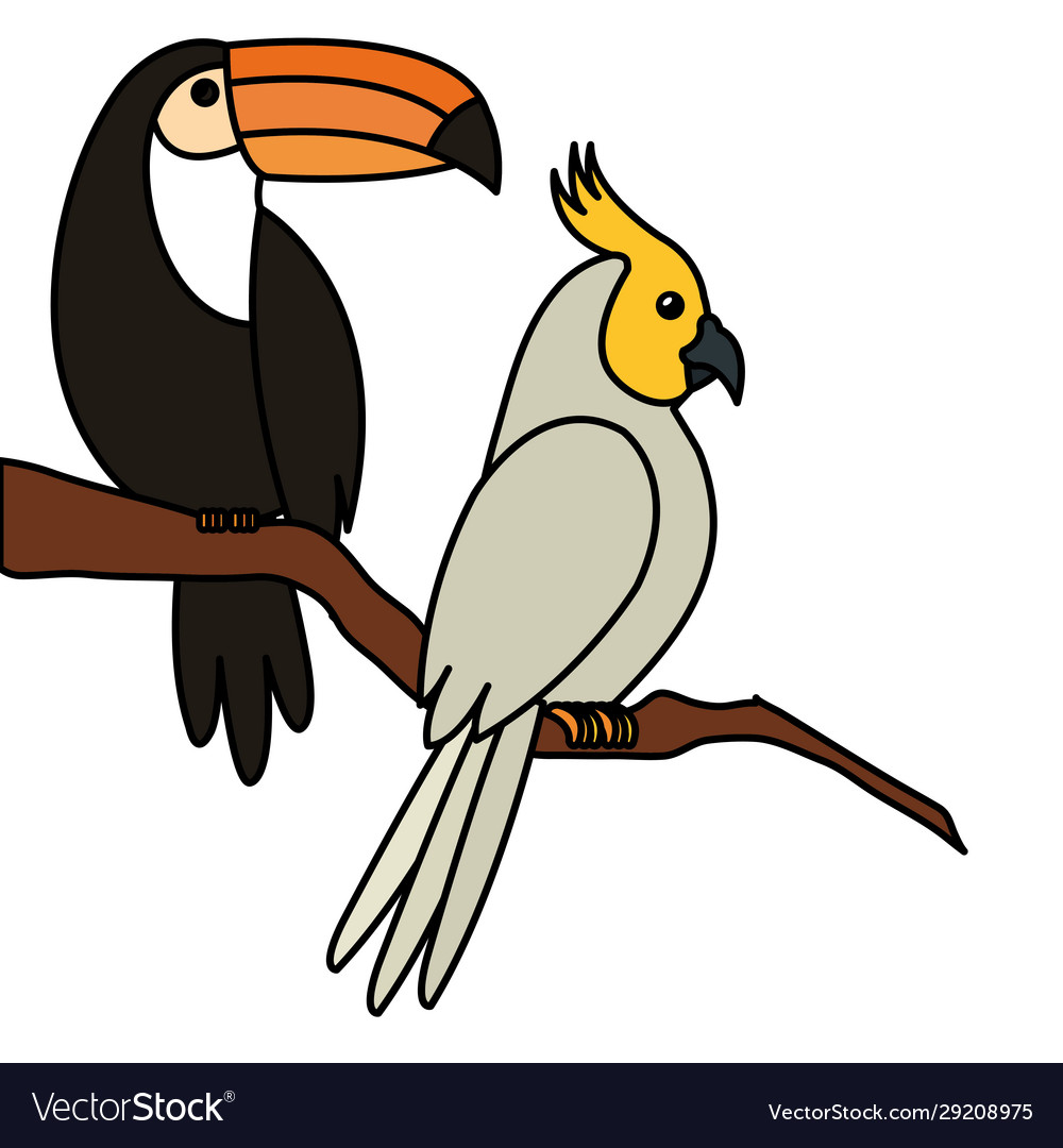 Parrot with toucan in tree branch isolated icon