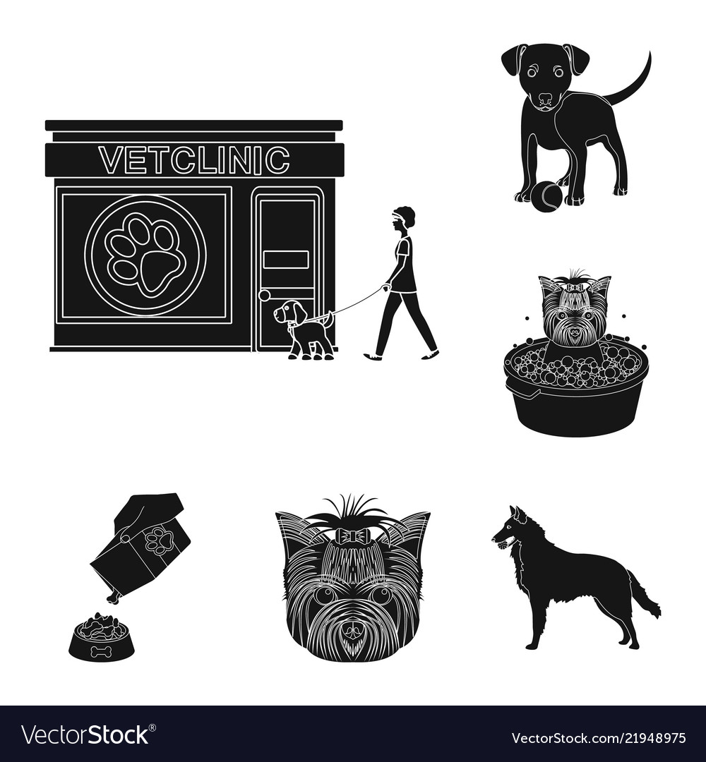 Pet black icons in set collection for design care