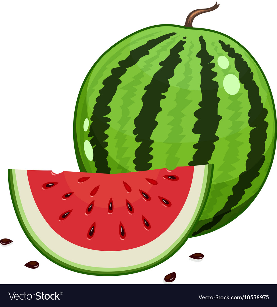 Watermelon and slice