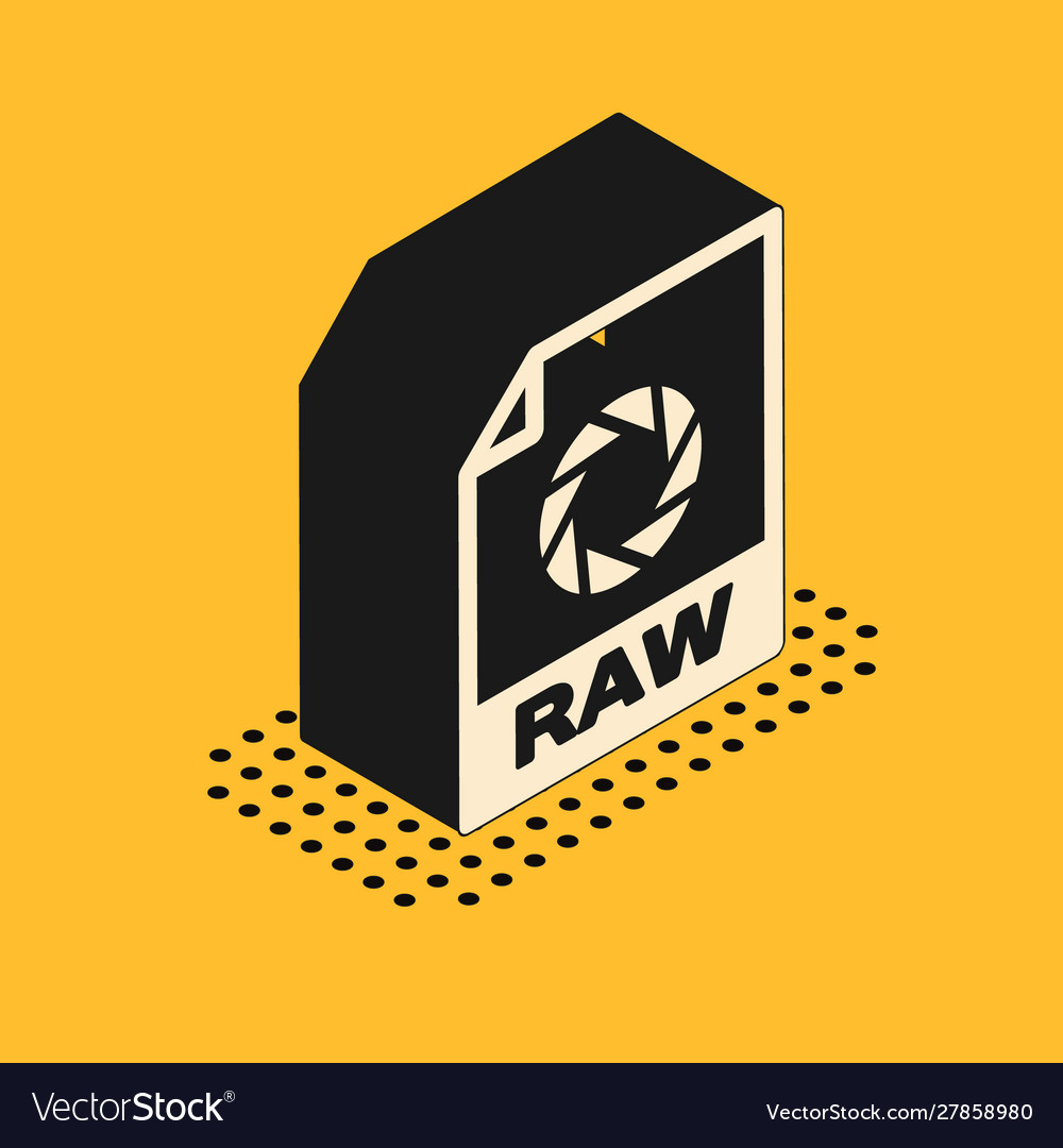 Isometric raw file document download button