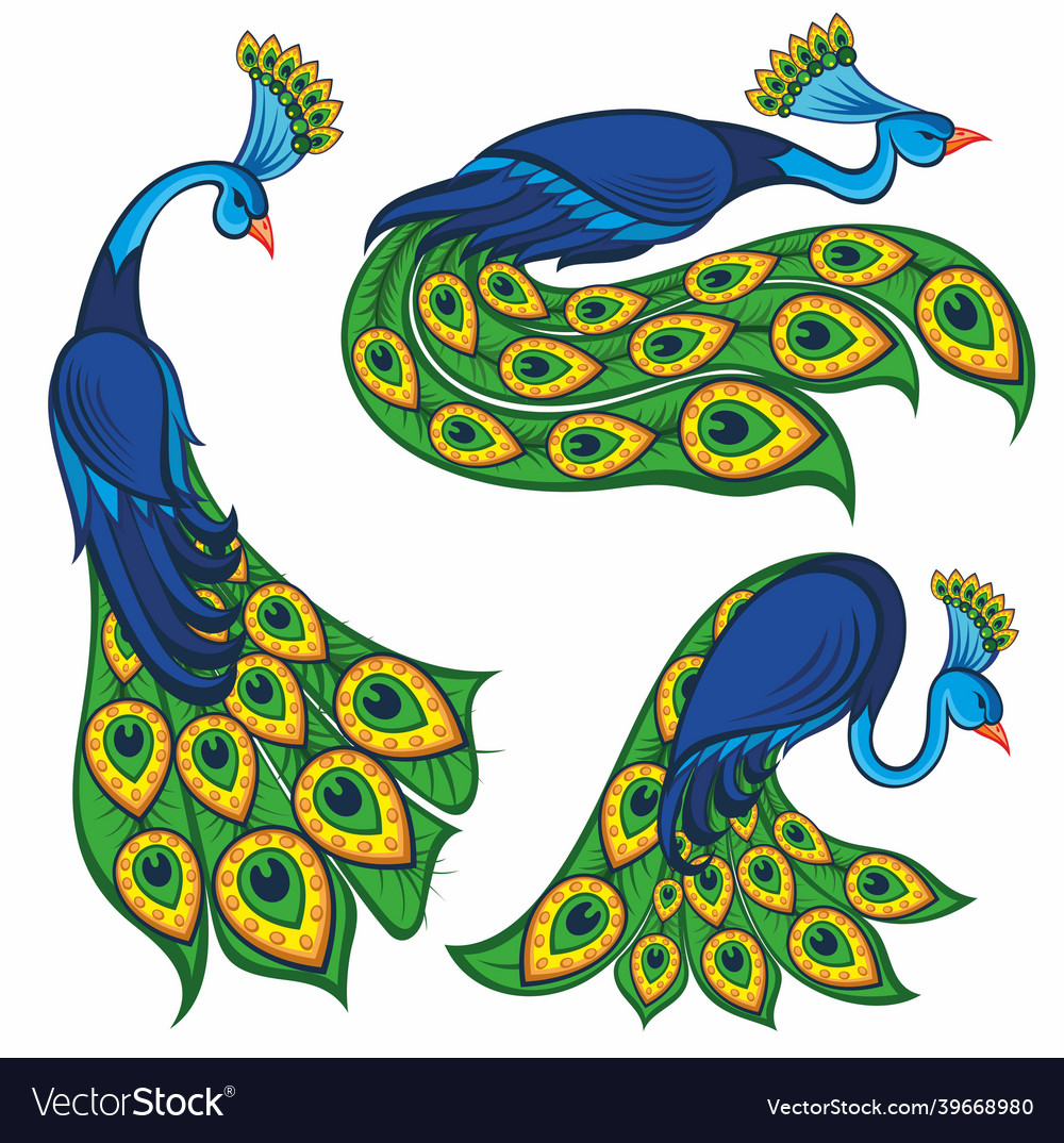 Peacock birds Royalty Free Vector Image - VectorStock