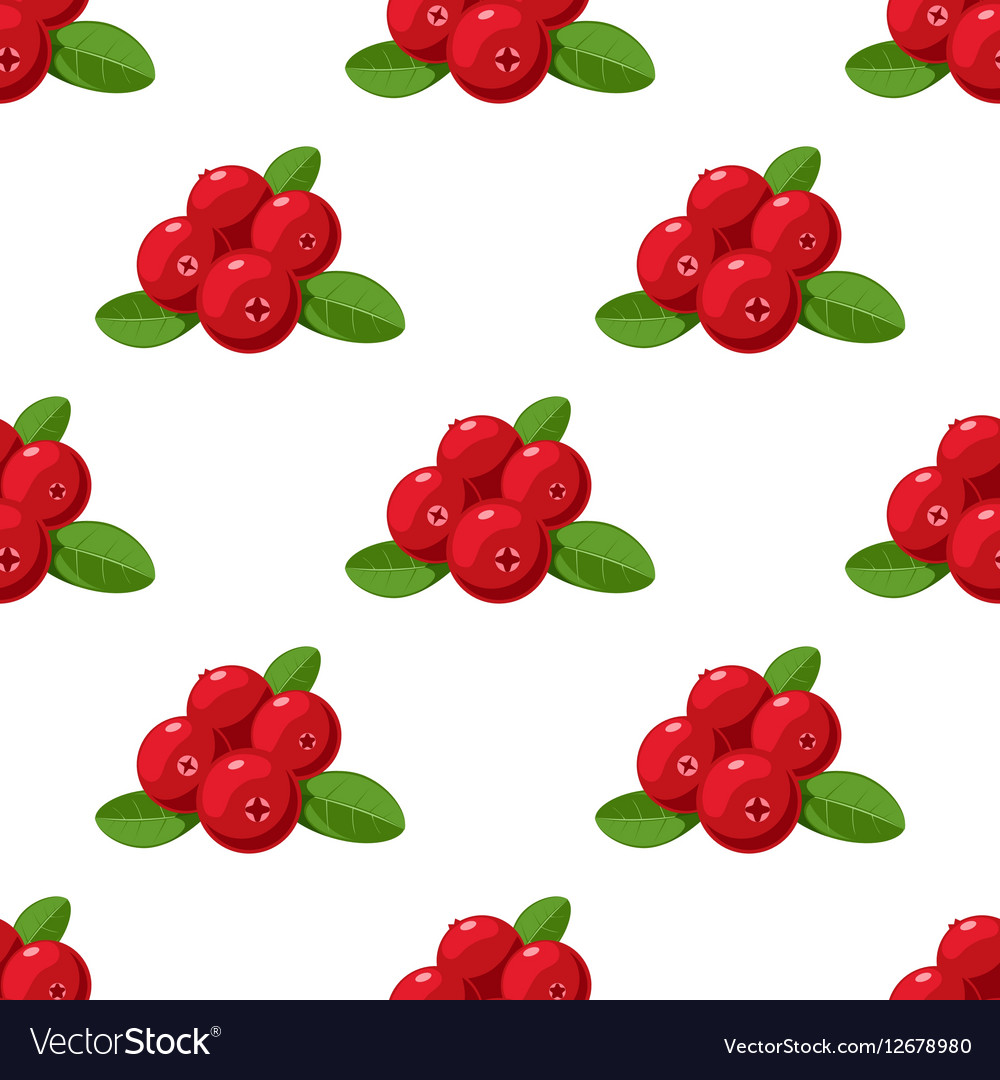 Seamless pattern cartoon cranberries