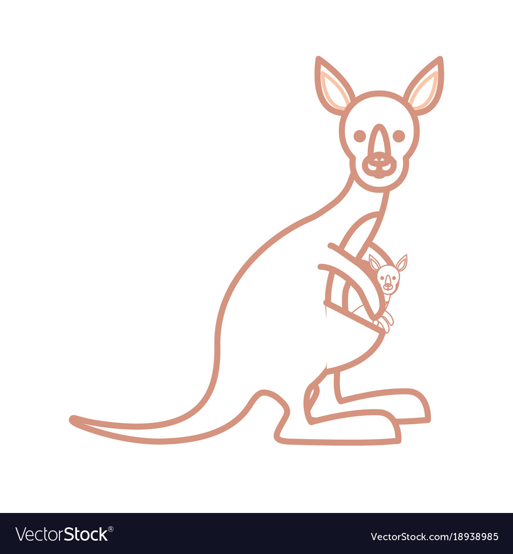 Cute kangaroos icon image