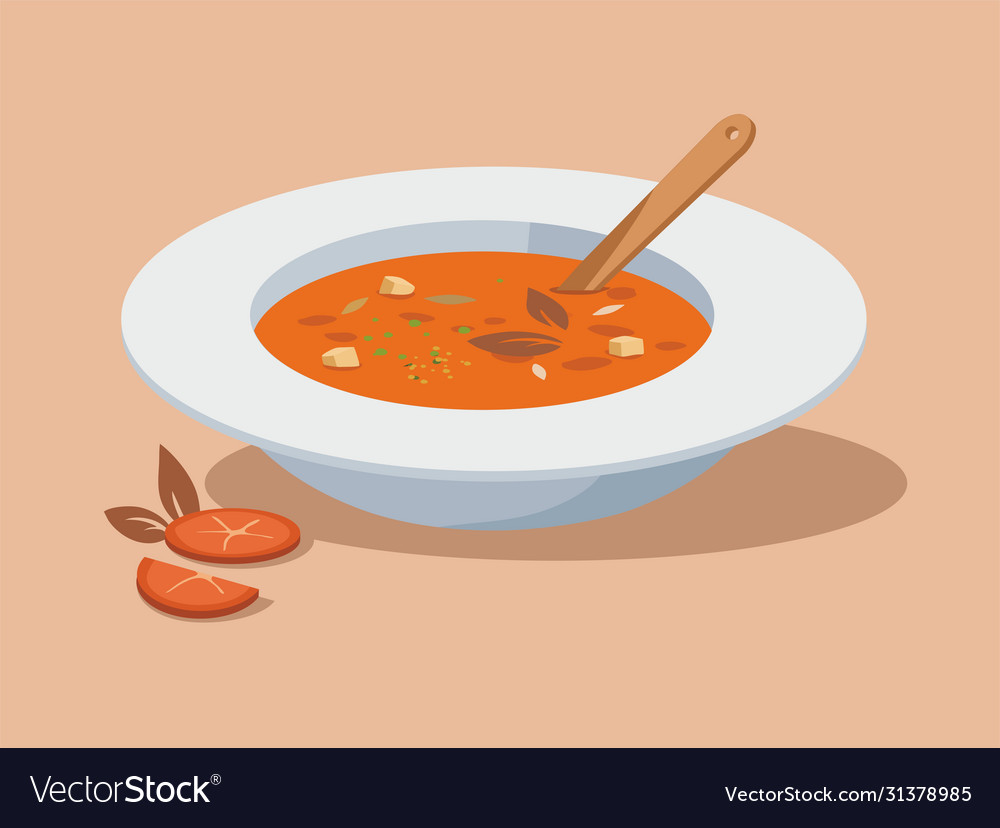 Hausgemachte Suppe mit Tomaten auf einem weißen Teller